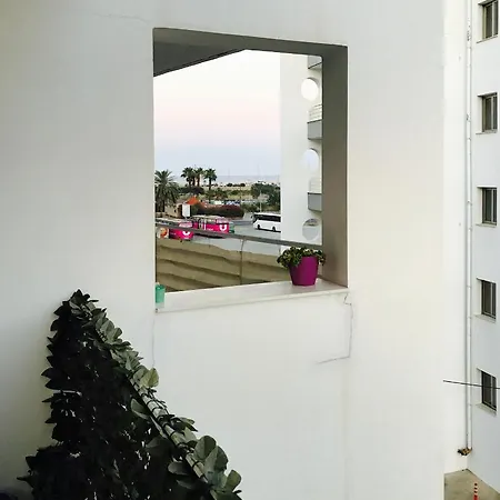 Avgoulla * Larnaca